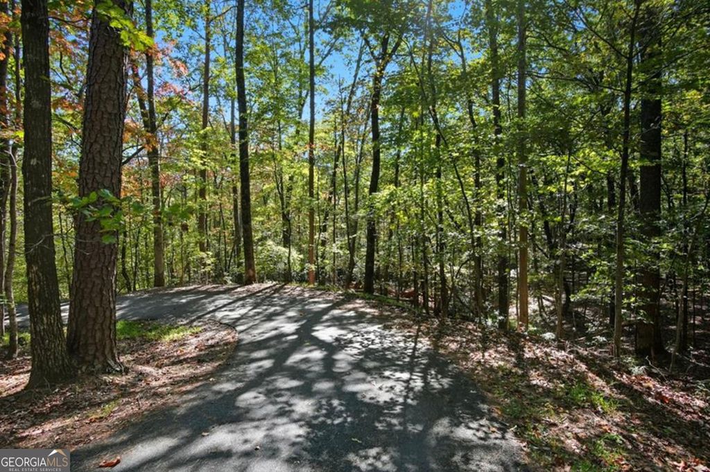 Photo of 226 Wild Azalea Circle, Jasper, GA 30143 (MLS # 10730621)