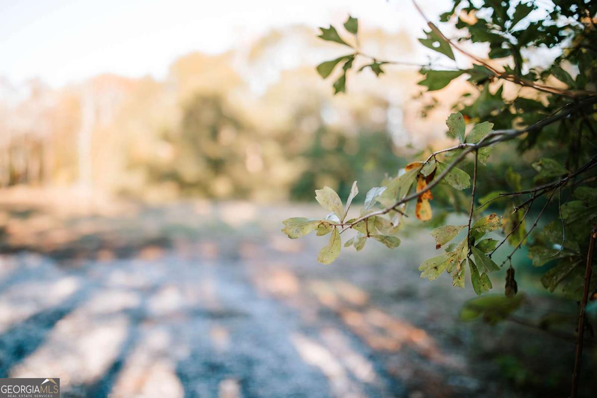 TRACT 7 Robert Hardeman