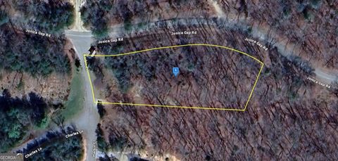 38 Harbin CT Morganton GA 30560