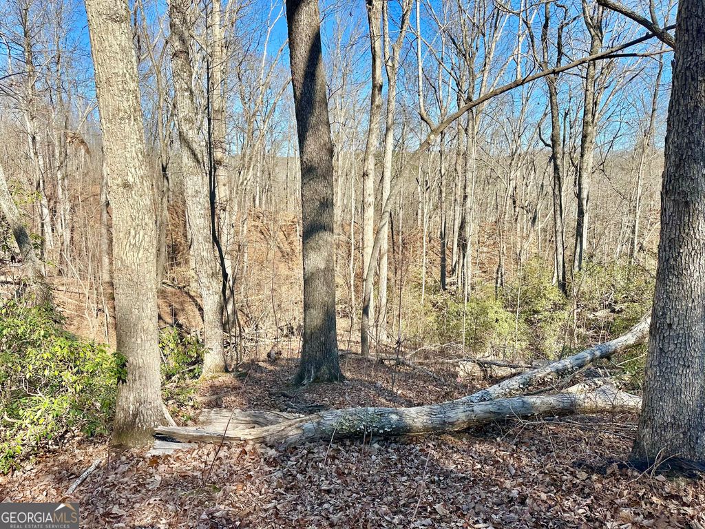 Photo of 6770 Winding Canyon Road, Flowery Branch, GA 30542 (MLS # 10673368)