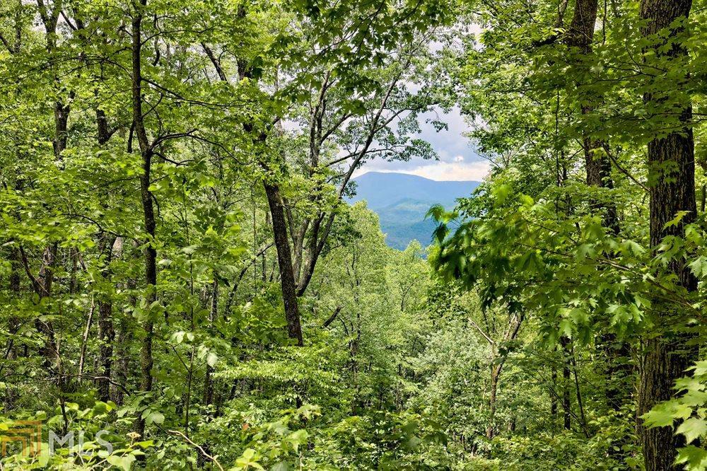 0 Deep Woods LOT 9