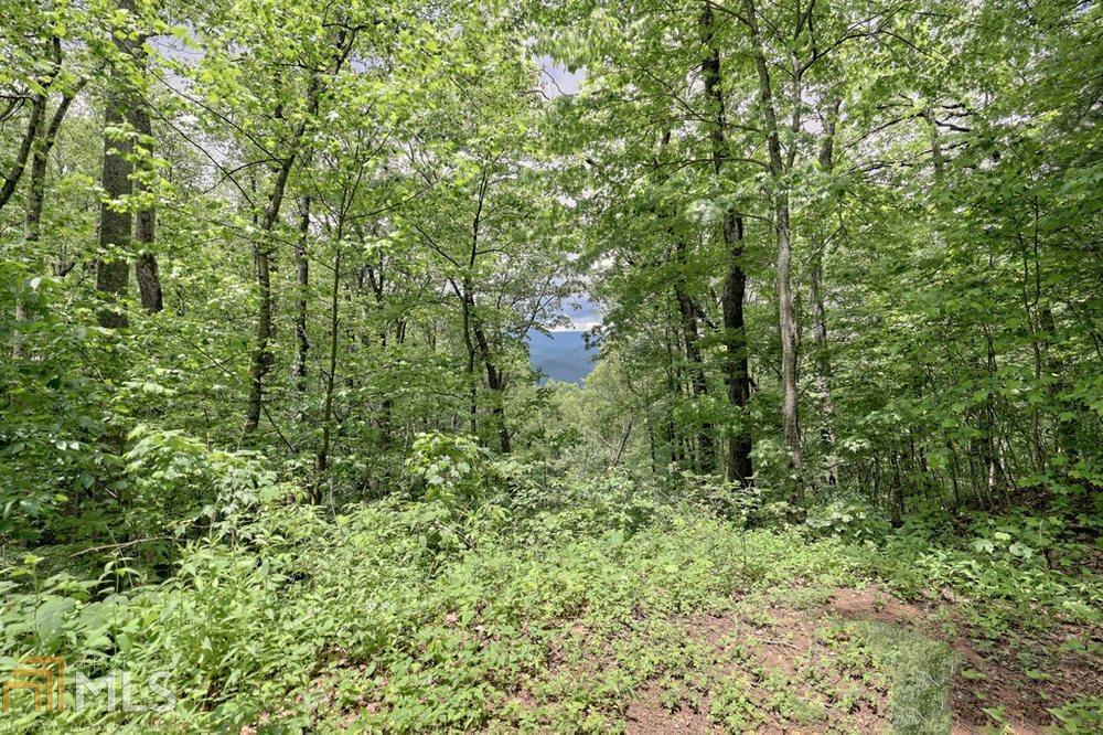0 Deep Woods LOT 9