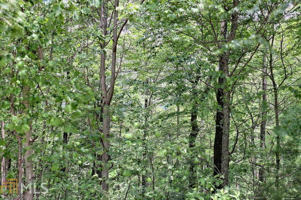 0 Deep Woods LOT 9