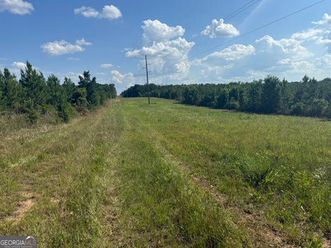 Photo for 009 George Milling RD