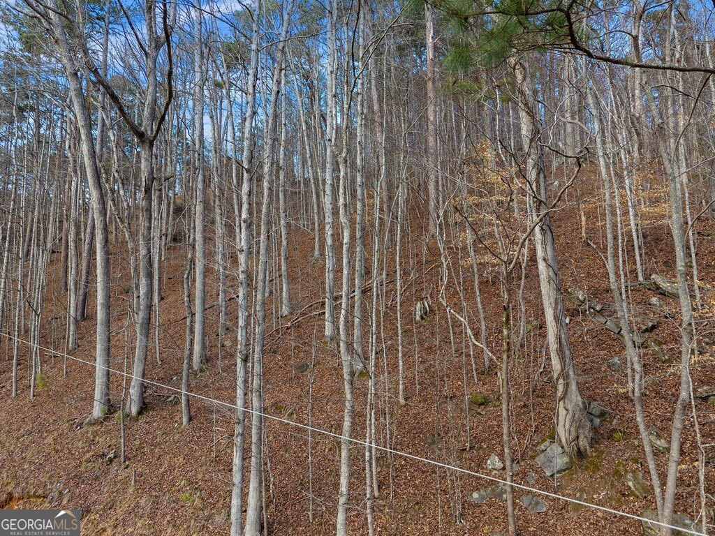 LOT 2965 Monticello DR