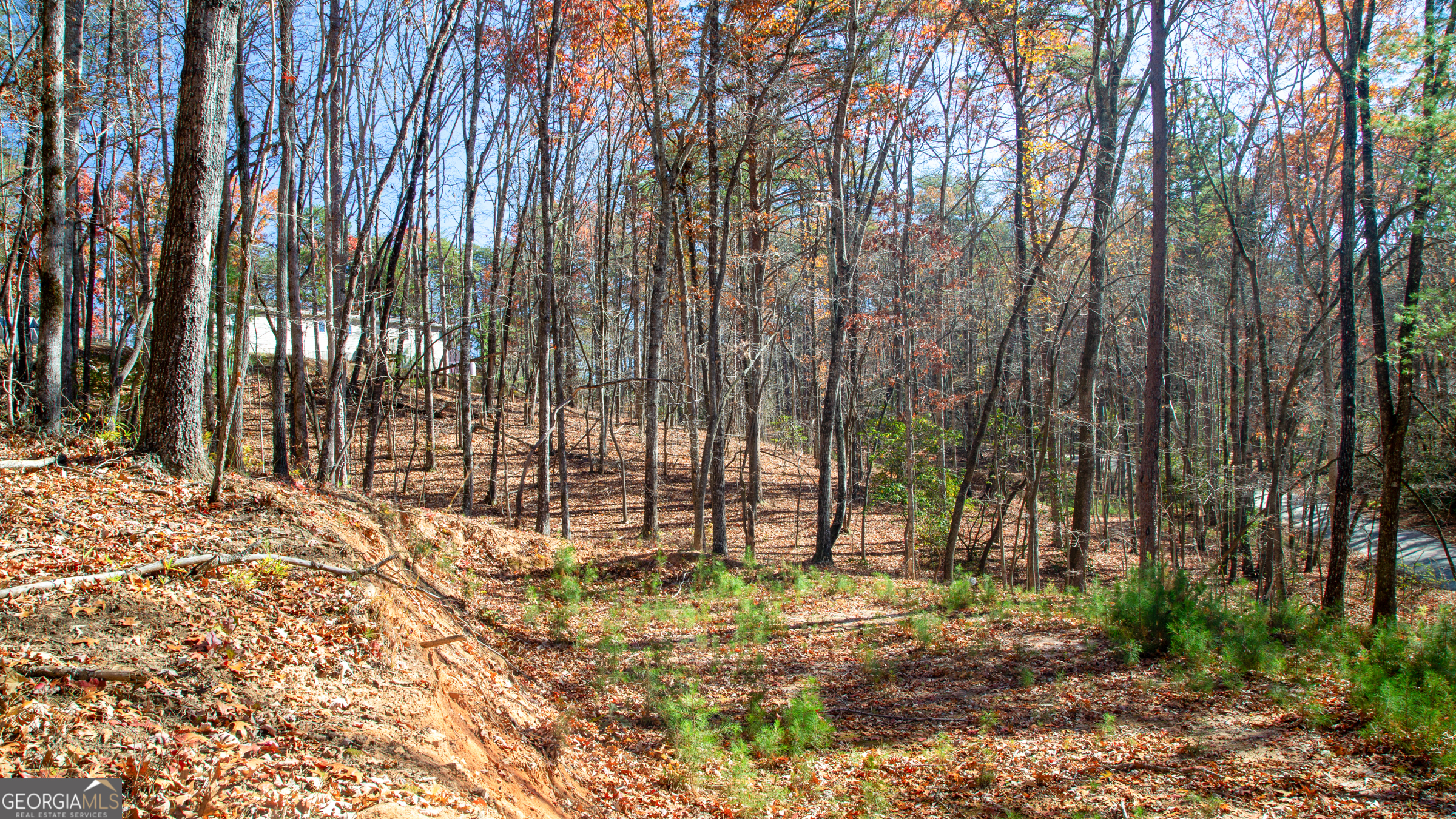 LOT 123 Mountain View RD