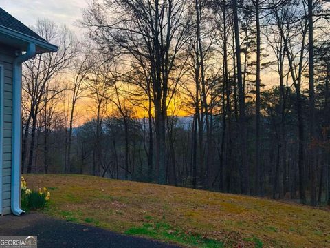 A home in Ellijay