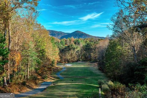 A home in Ellijay