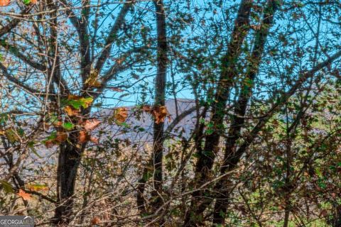 A home in Ellijay