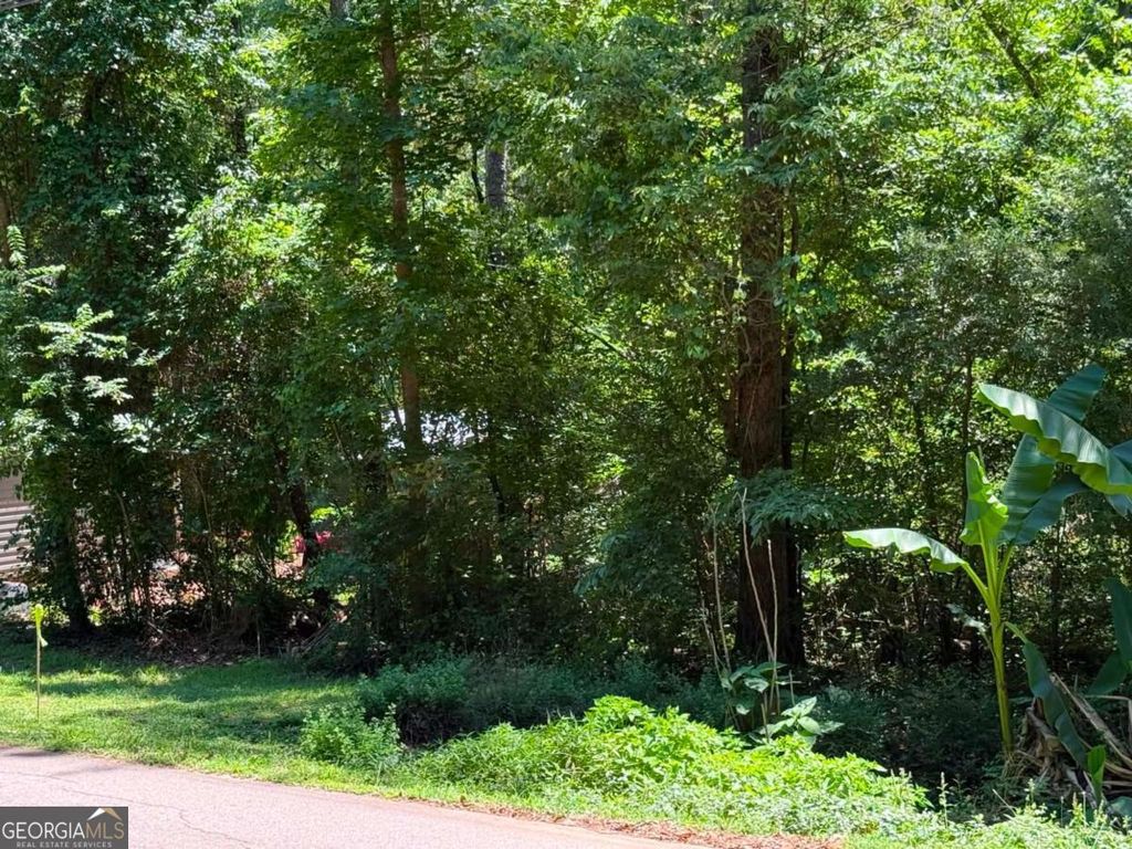 Photo of 0 Lakeshore Road, Martin, GA 30557 (MLS # 10782197)