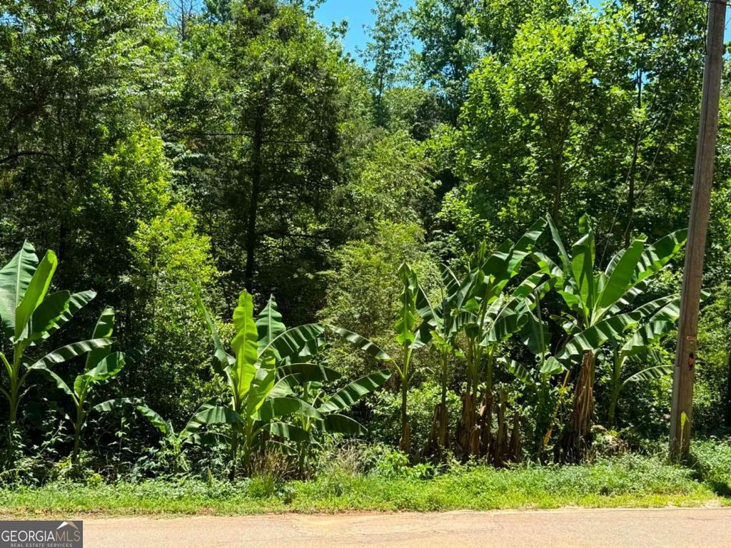 Photo of 0 Lakeshore Road, Martin, GA 30557 (MLS # 10782197)