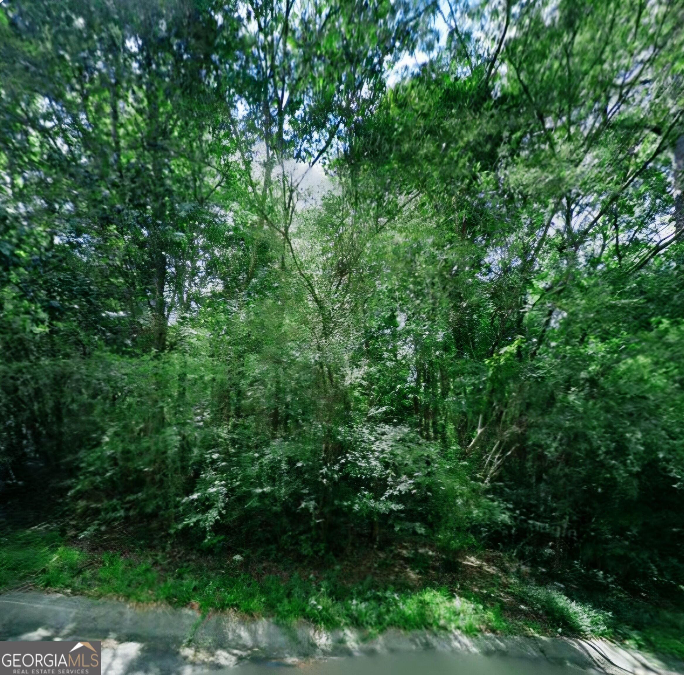 4195 Canyon RD