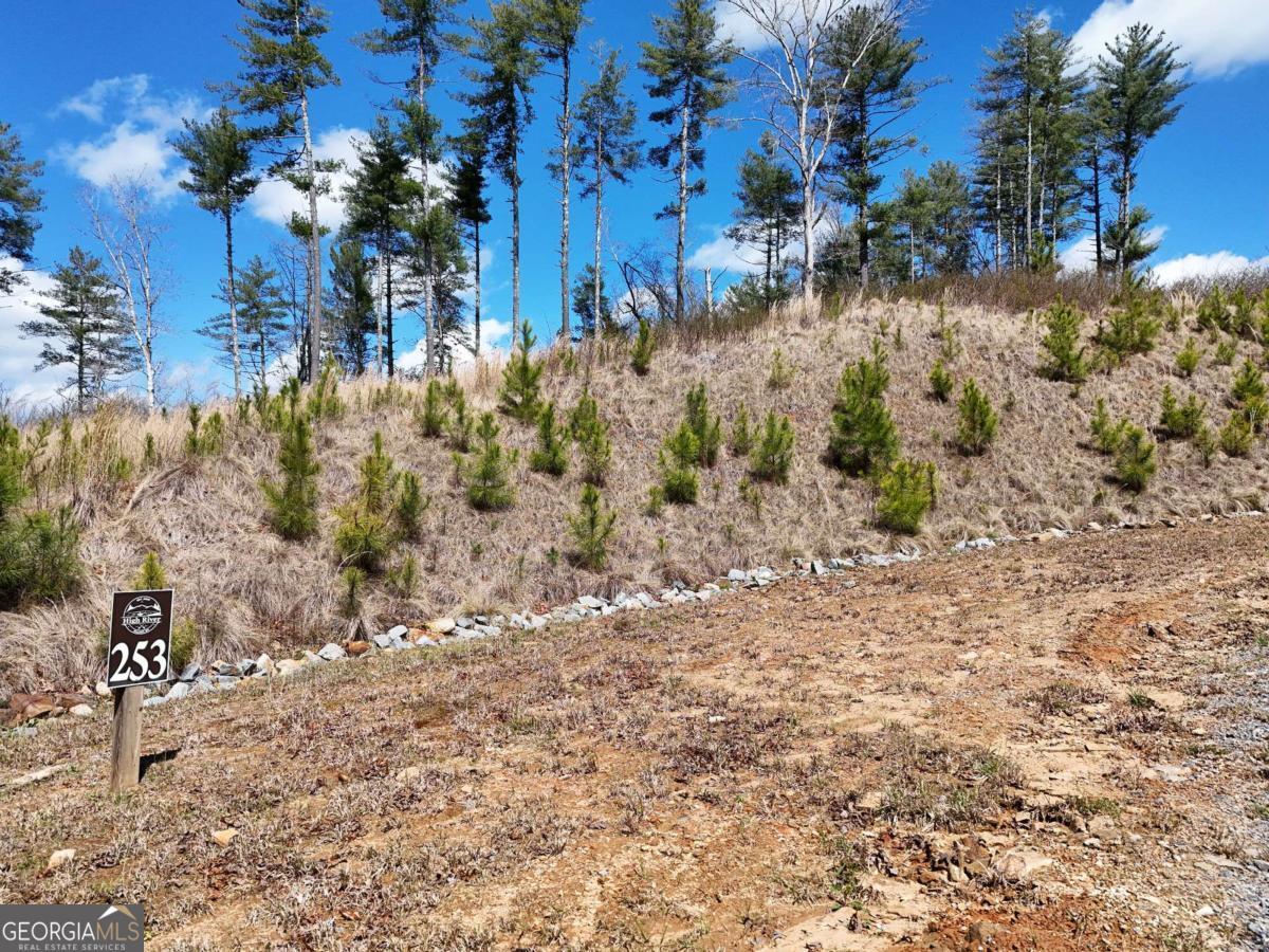 LOT 253 High River XING