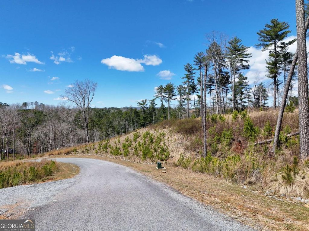 Photo of 253 High River Crossing, Ellijay, GA 30540 (MLS # 10712498)