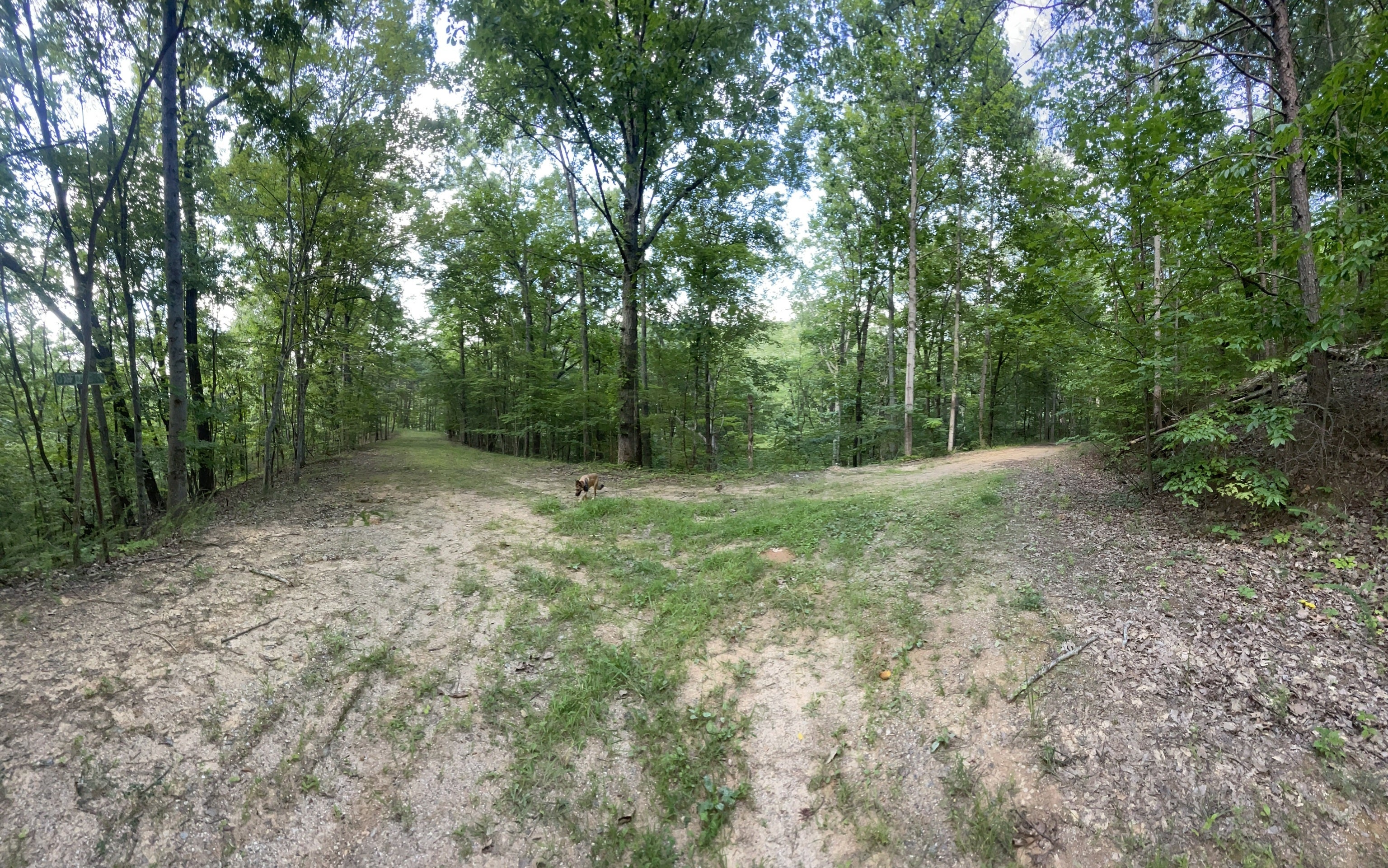 253 Oxford CIR NE