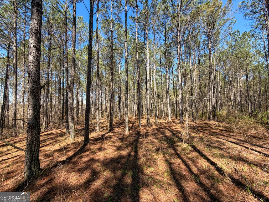 Photo of 24 +/- Acres on GA Hwy 34 - Tract 1, Franklin, GA 30217 (MLS # 10851627)