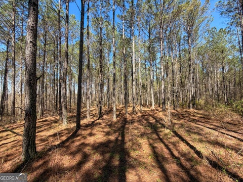 Photo for 24 +/- Acres on GA Hwy 34 - Tract 1
