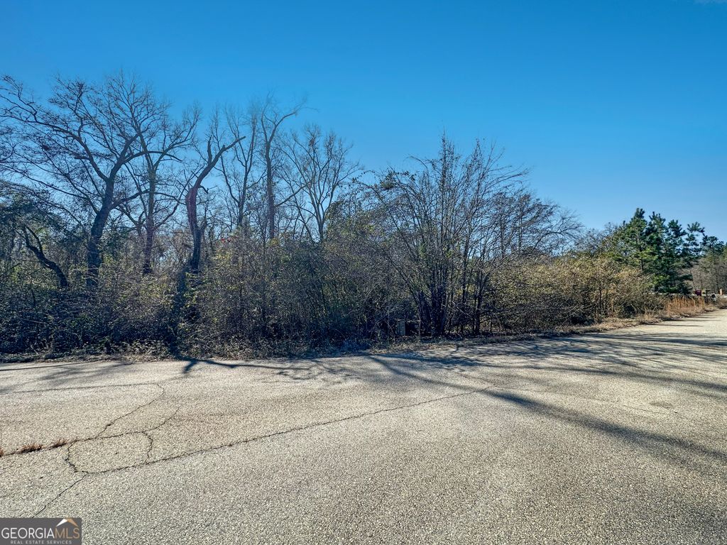 Photo of 317 Hawk Court, Macon, GA 31216 (MLS # 10683808)