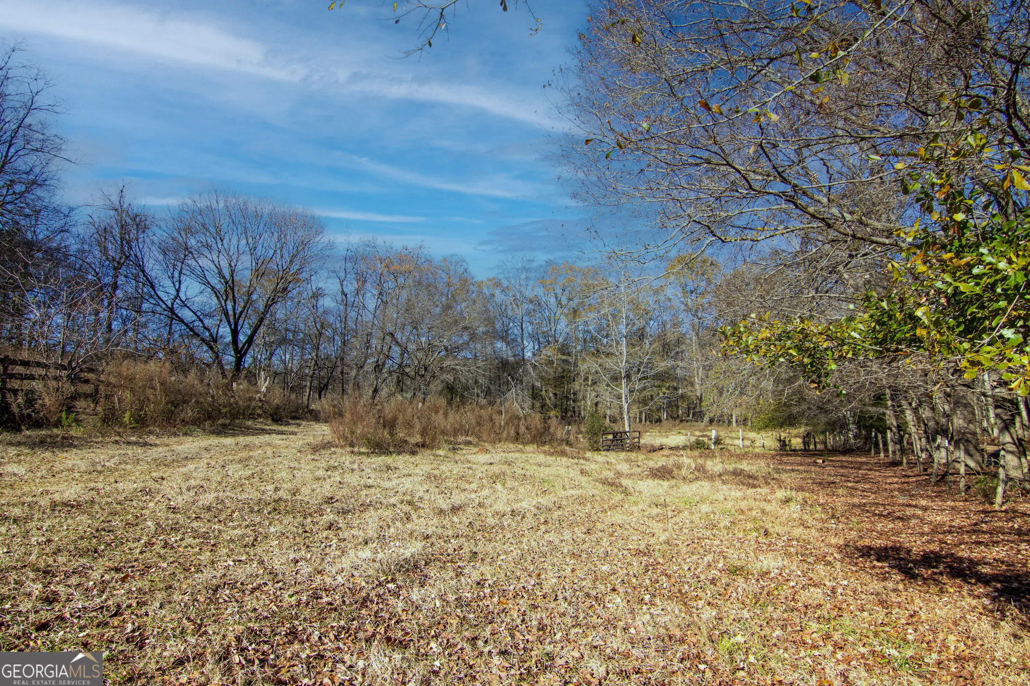 TRACT 2 - 0 St. Paul Church Road, Shiloh, GA, 31826
