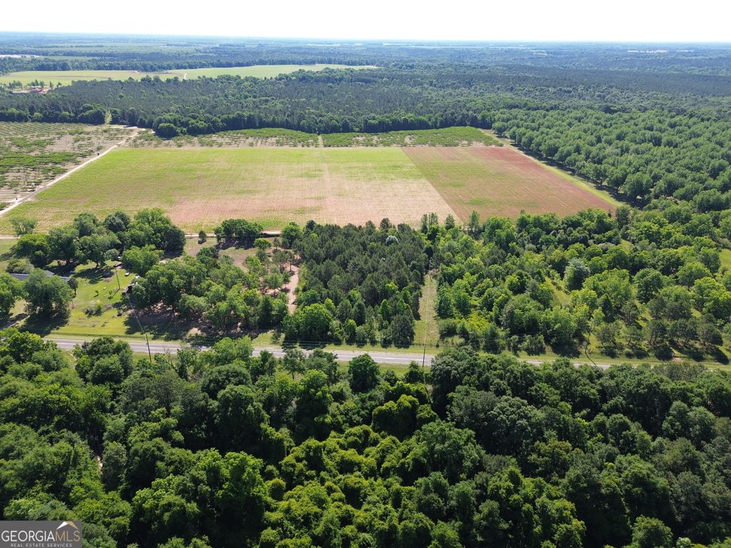 Photo of 77 Cummings Lane, Fort Valley, GA 31030 (MLS # 10772544)