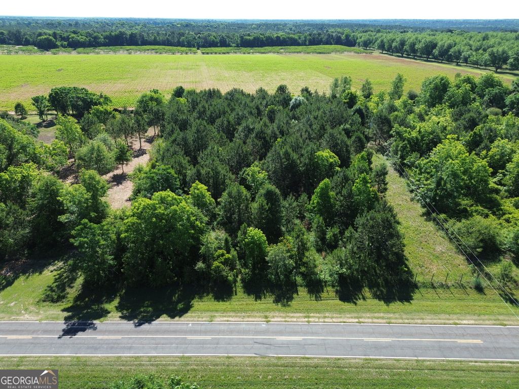 Photo of 77 Cummings Lane, Fort Valley, GA 31030 (MLS # 10772544)