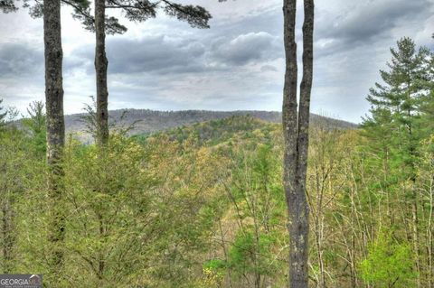 A home in Blue Ridge