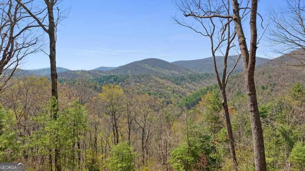Photo of 0 Big Creek Road, Ellijay, GA 30536 (MLS # 10680015)