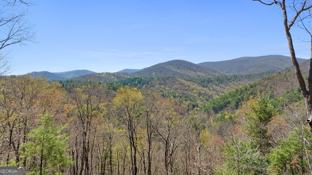 Photo of 0 Big Creek Road, Ellijay, GA 30536 (MLS # 10680015)