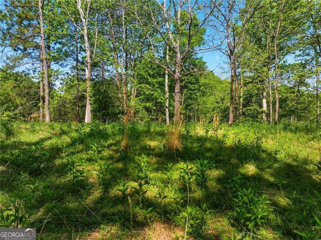 LOT 1 Summit DR