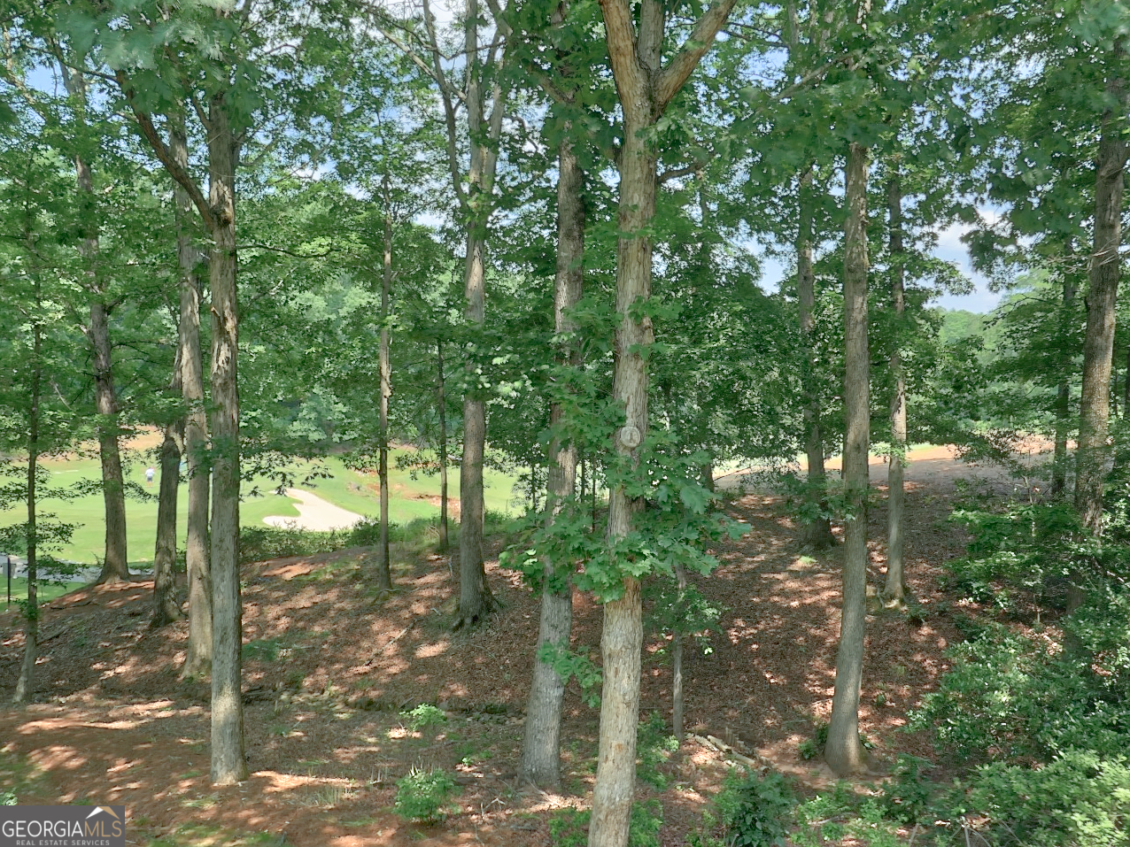 Eagles Landing Country Club - Residential