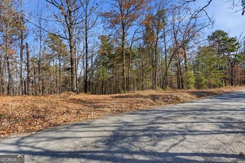 1166 Hunter DR Ranger GA 30734