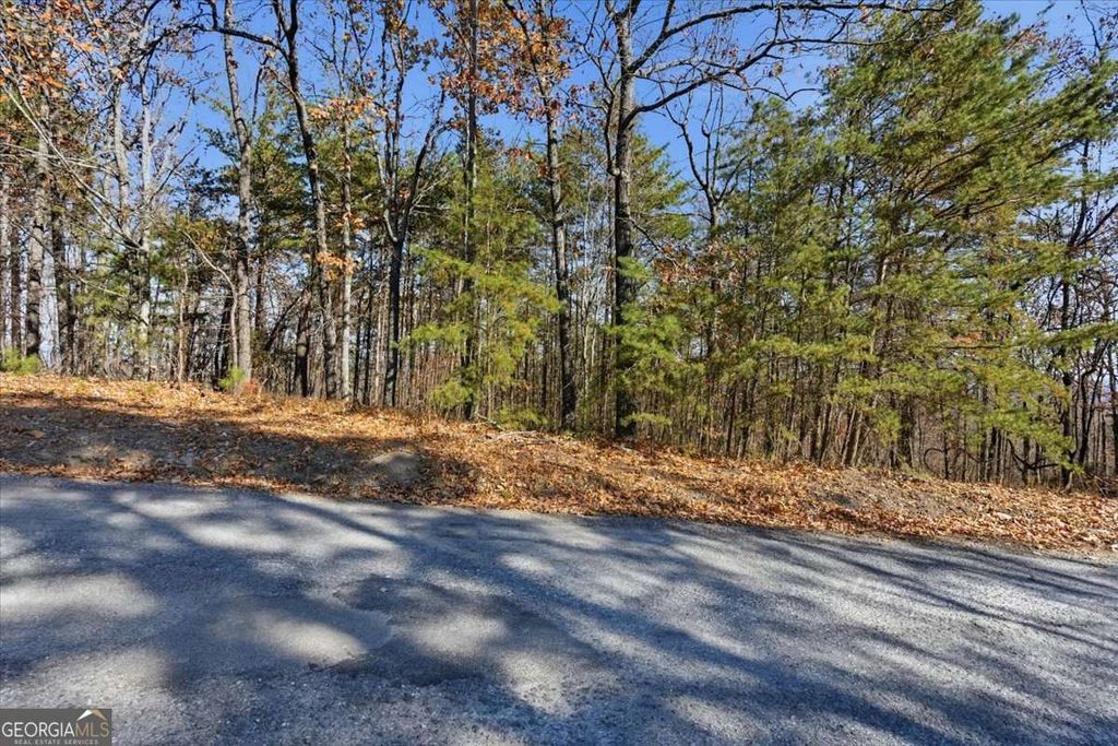 Photo of 1166 Hunter Drive, Ranger, GA 30734 (MLS # 10650168)