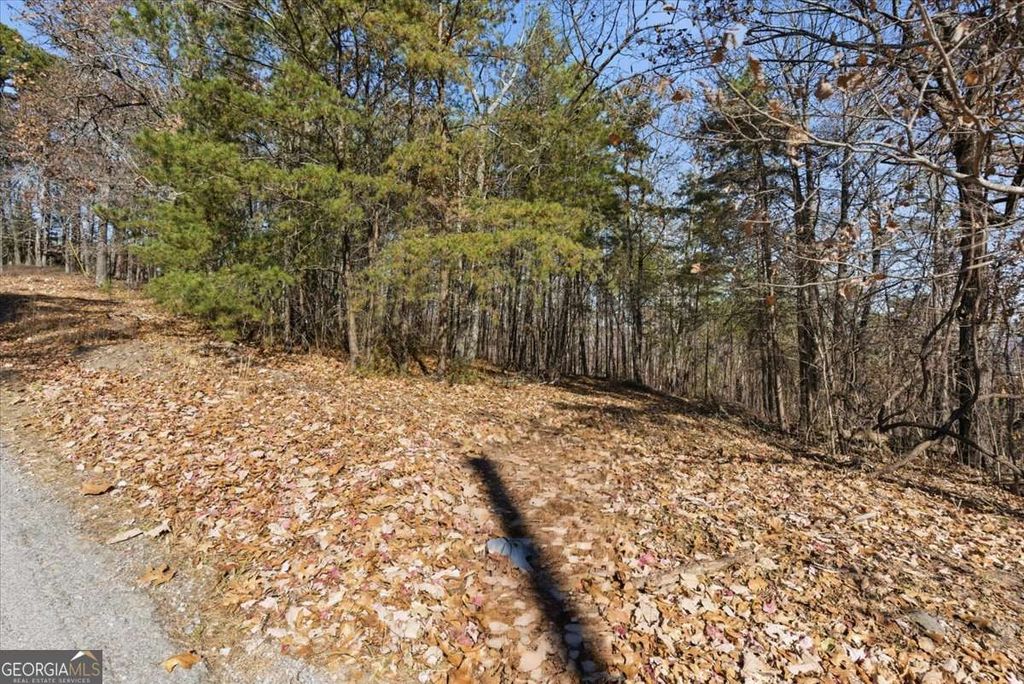 Photo of 1166 Hunter Drive, Ranger, GA 30734 (MLS # 10650168)