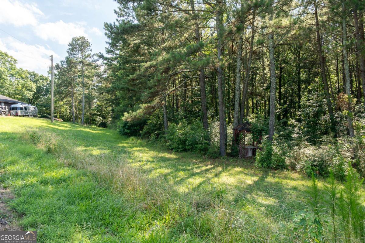 1585 Jimmy Dodd RD