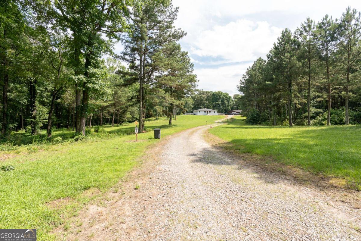 1585 Jimmy Dodd RD
