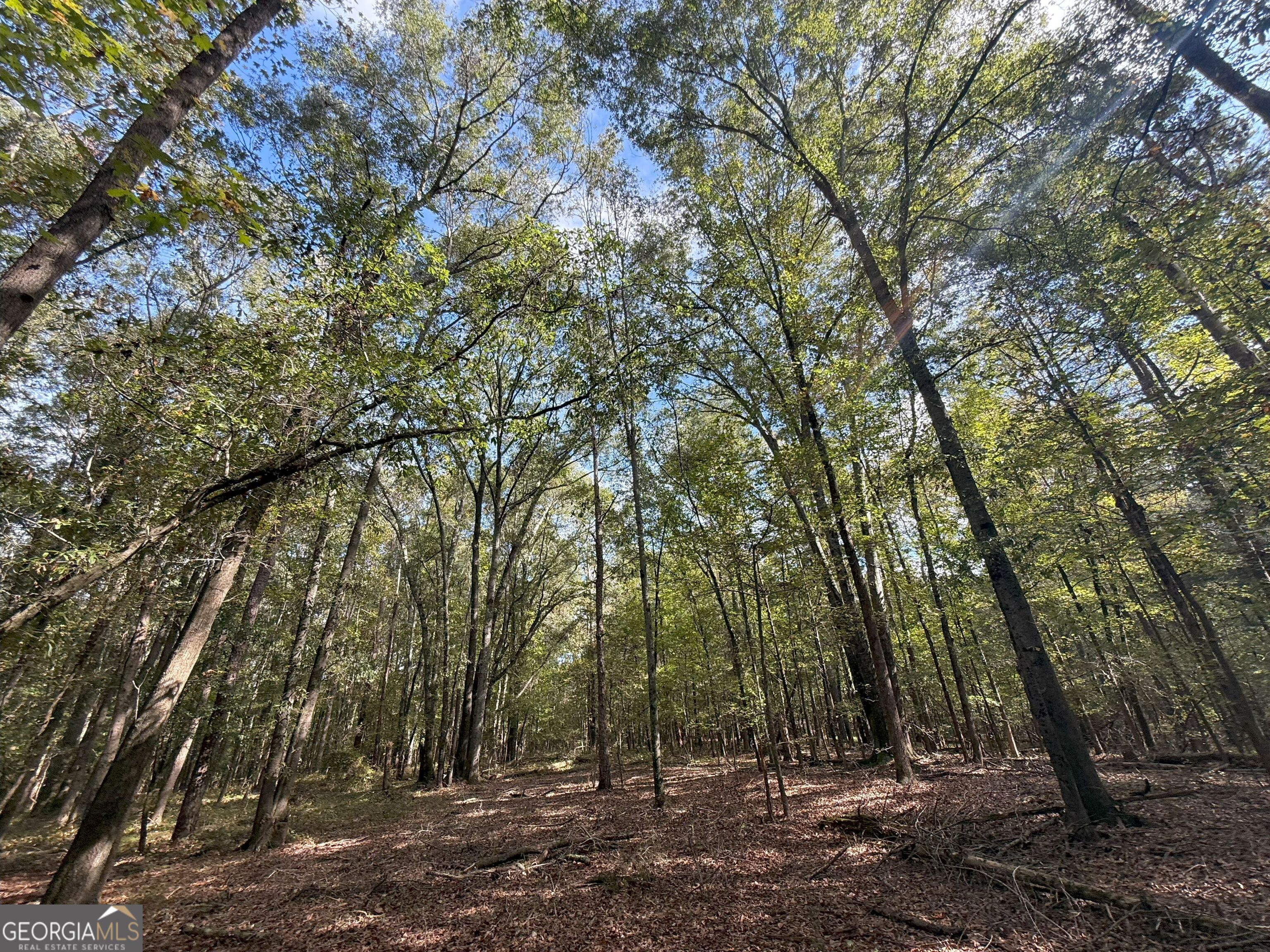 9896 Jefferson River RD