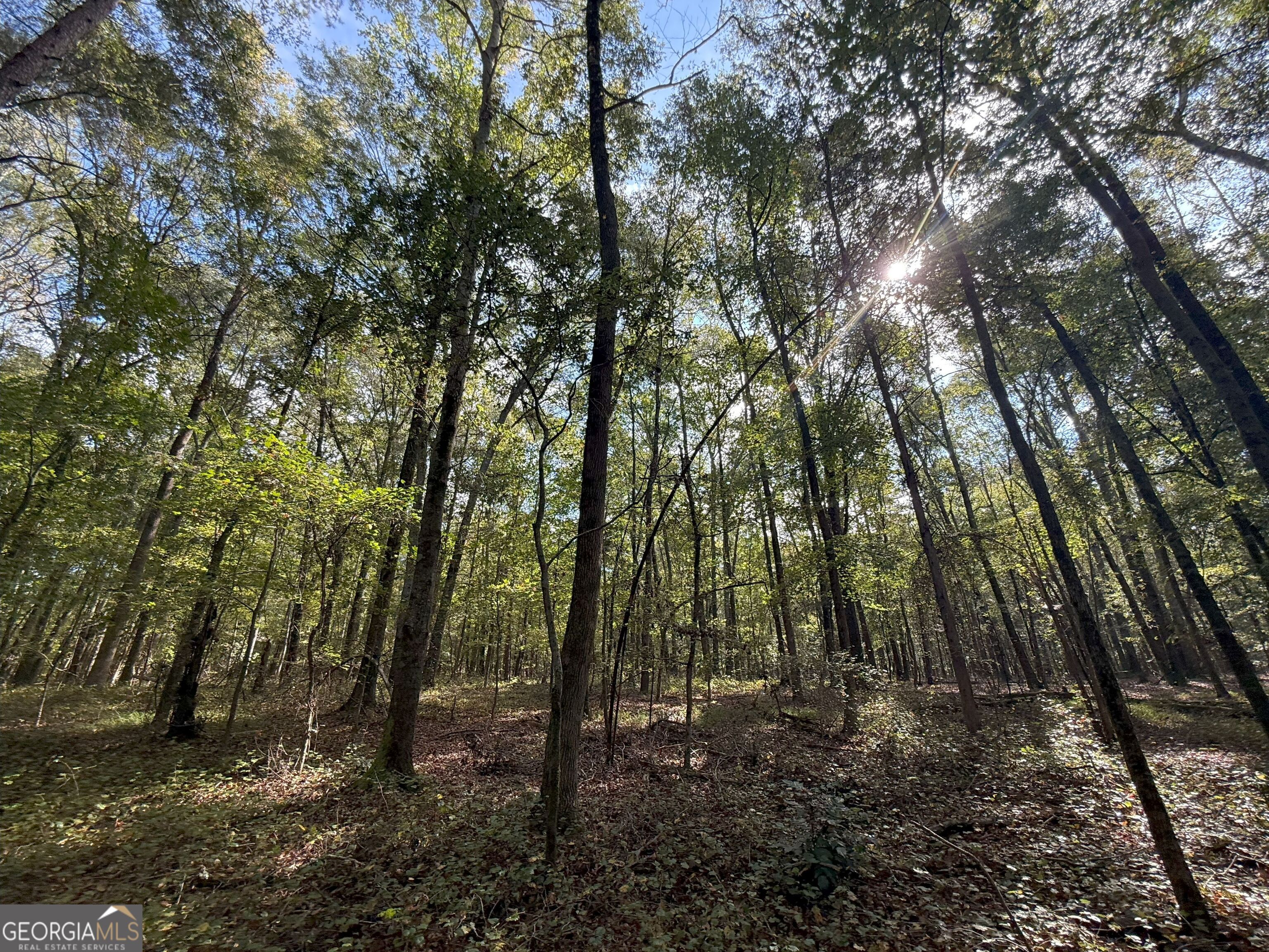 9896 Jefferson River RD