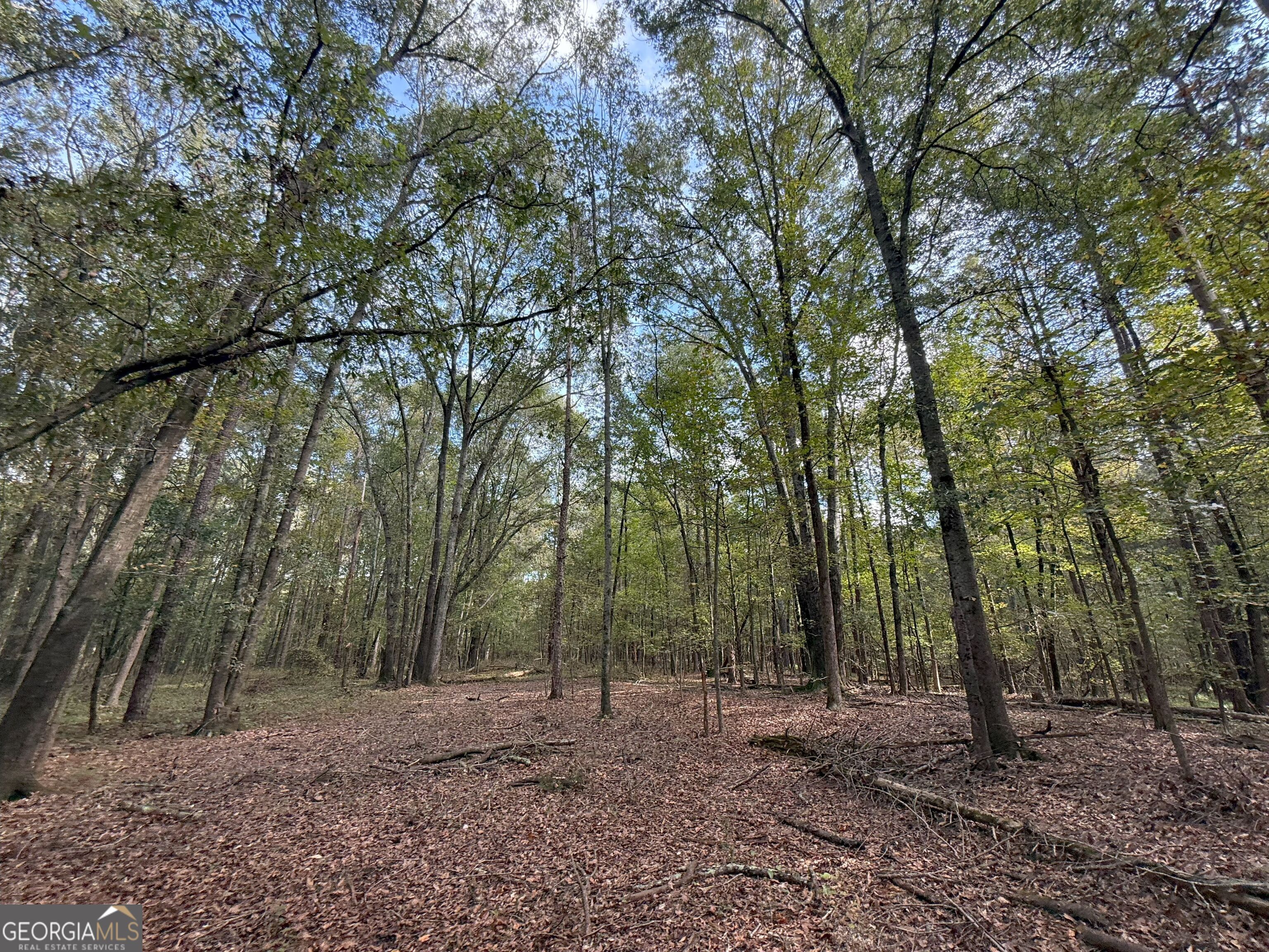 9896 Jefferson River RD