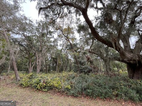 0 Carnochan DR Darien GA 31305