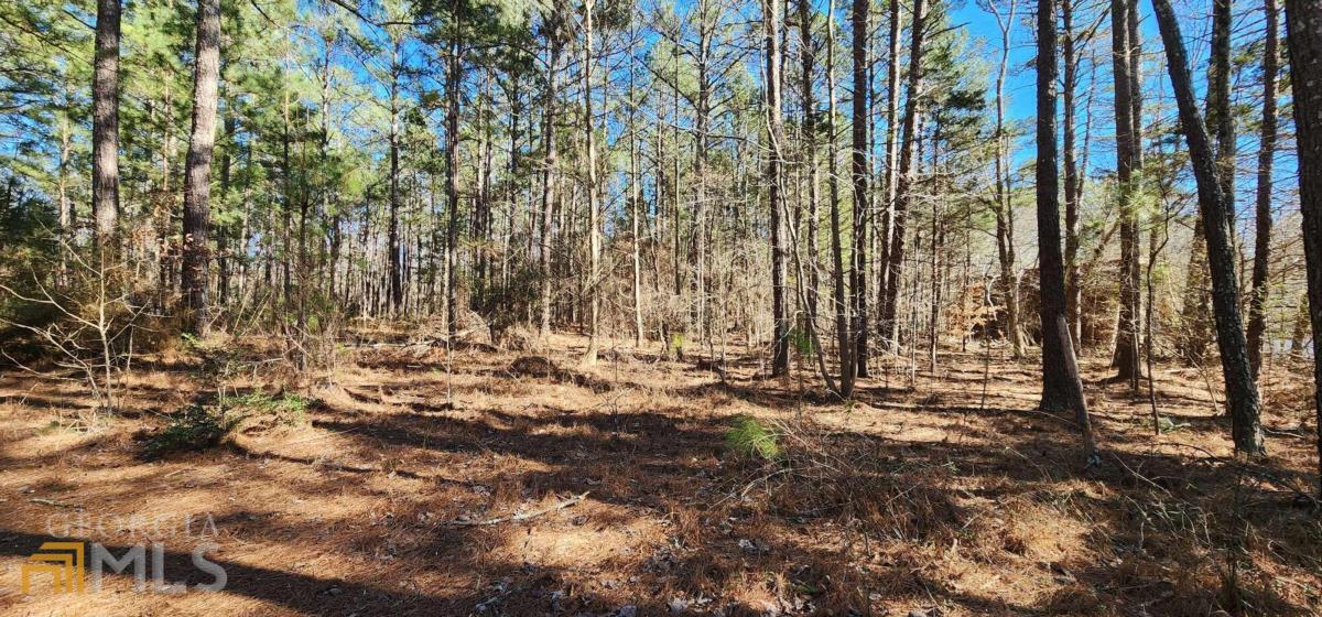 Build your dream home in a convenient but still private location of West Clarke county. Just a stones throw from the Caterpillar plant and yummy Fresh Air BBQ. Super easy access to Hwy. 316, and straight shot to downtown Athens or Winder! Nice level, wooded lot has street access to City Water. Sewer would be Septic. Both lots ava. for purchase. 2515 Cleveland (tax id: 043B1 028) 0.52 acres, and 2525 Cleveland (tax id: 043B1 029) 0.56 acres. NO SIGN.