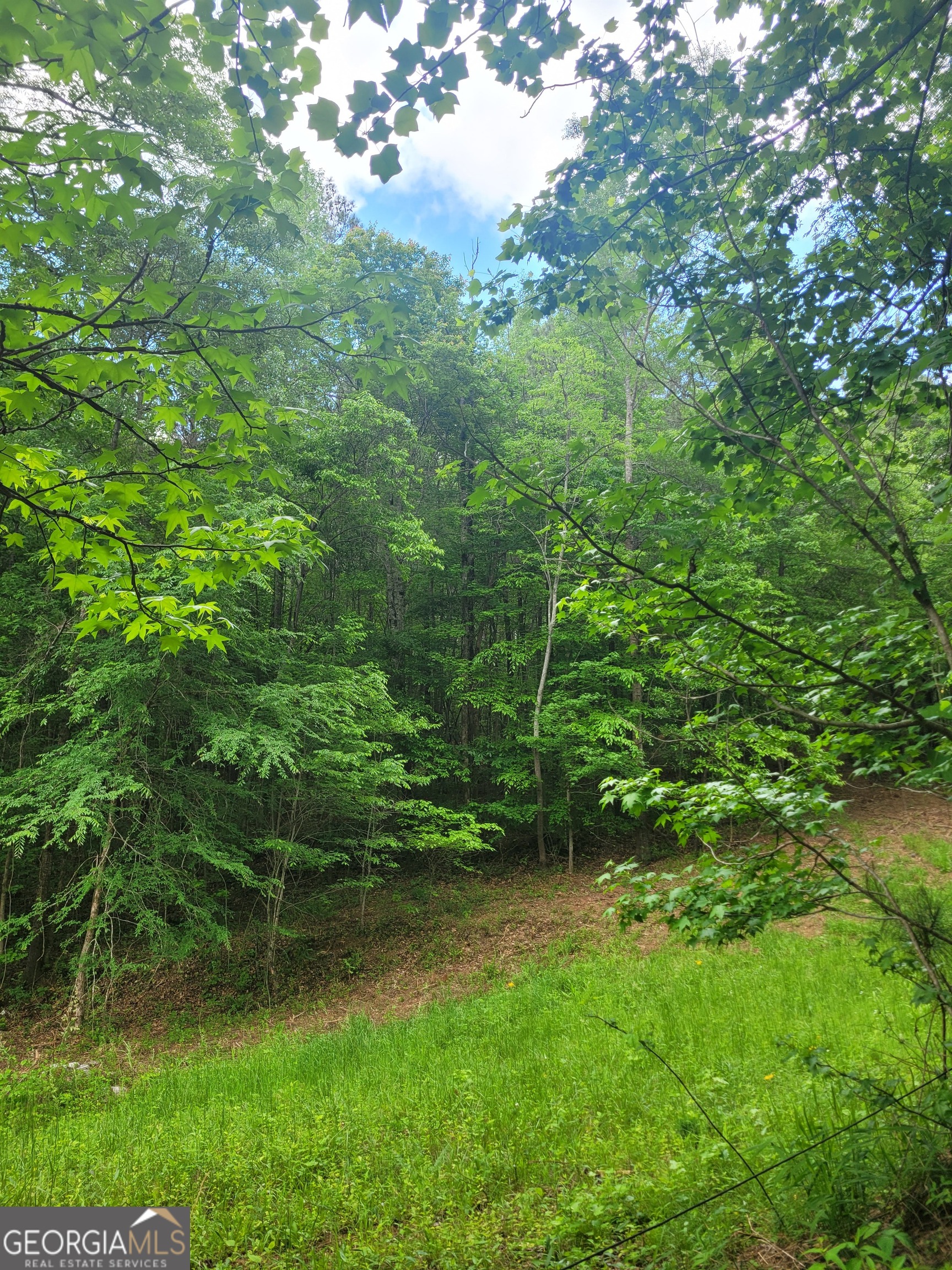 0 Fincherville Rd TRACT #3
