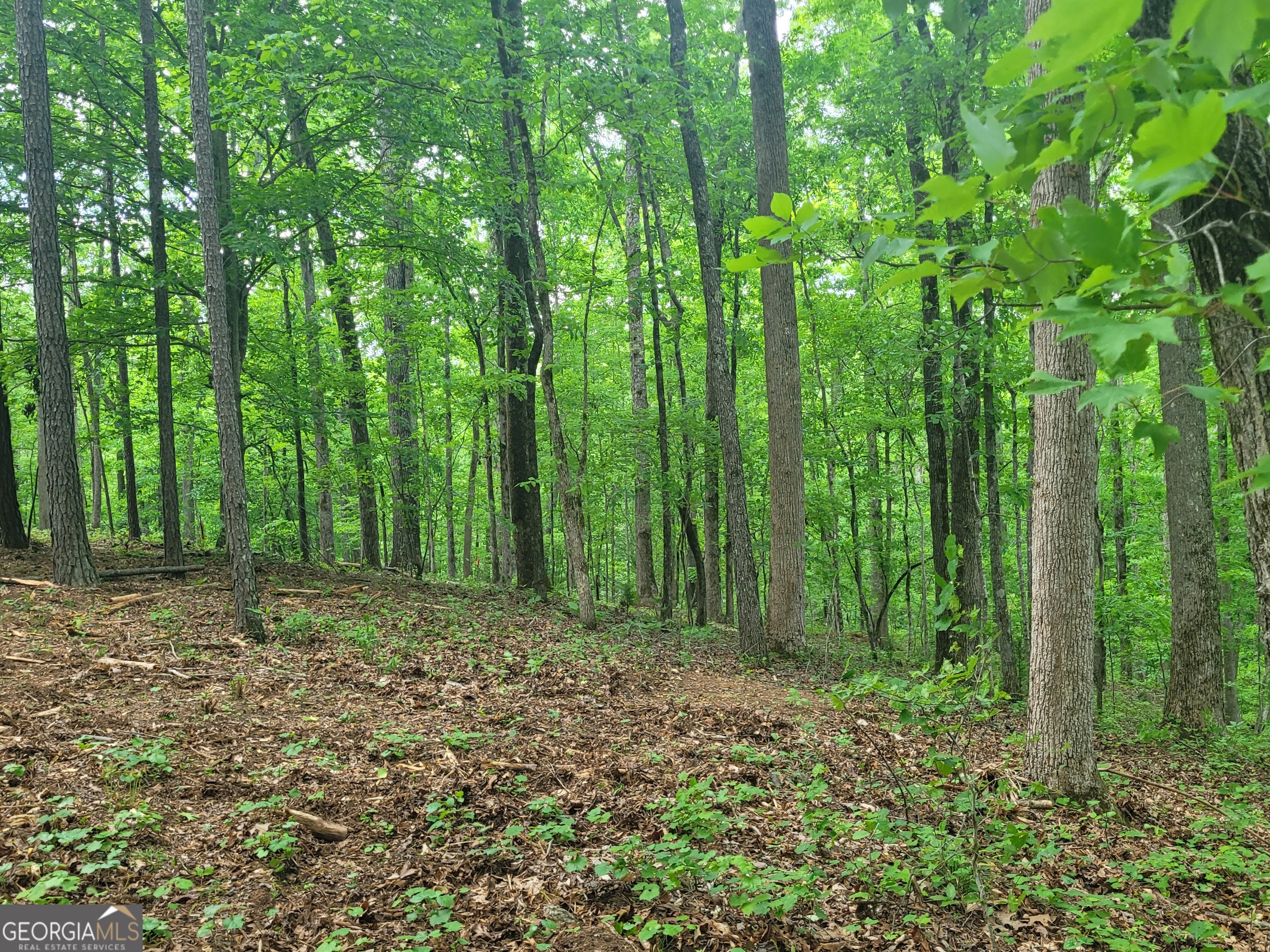 0 Fincherville Rd TRACT #3