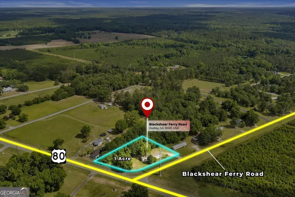 1295 Blackshear Ferry Road