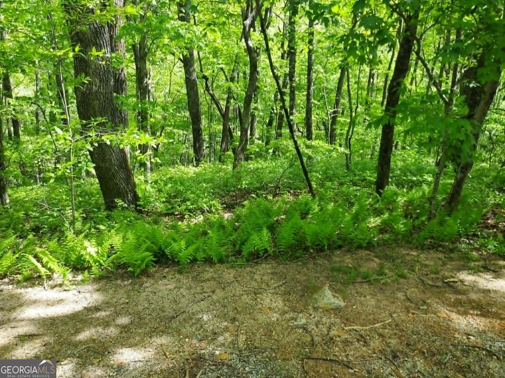 Photo of 5 Rebel Circle, Sky Valley, GA 30537 (MLS # 10756163)