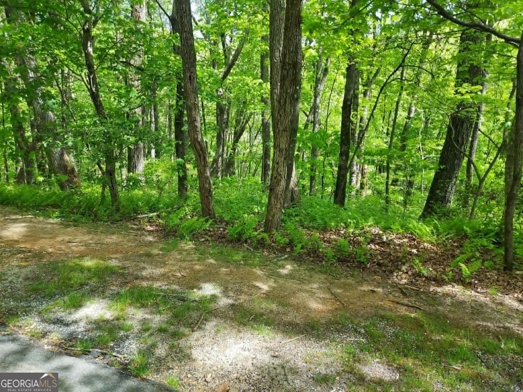Photo of 5 Rebel Circle, Sky Valley, GA 30537 (MLS # 10756163)