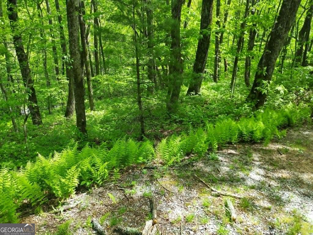 Photo of 5 Rebel Circle, Sky Valley, GA 30537 (MLS # 10756163)