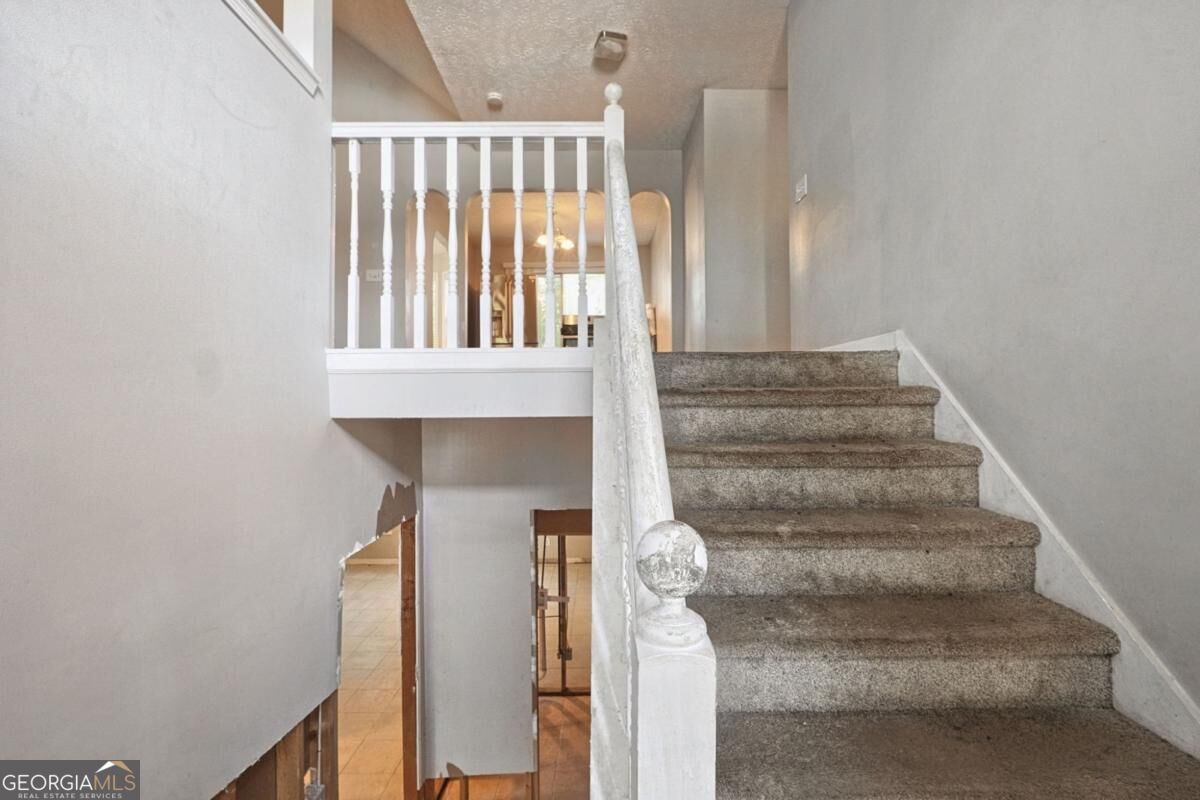 1005 Wolf Springs CV