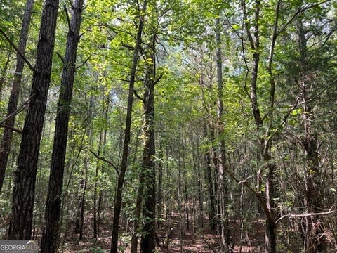 Photo of 0 Lipham Road, Franklin, GA 30217 (MLS # 10830954)