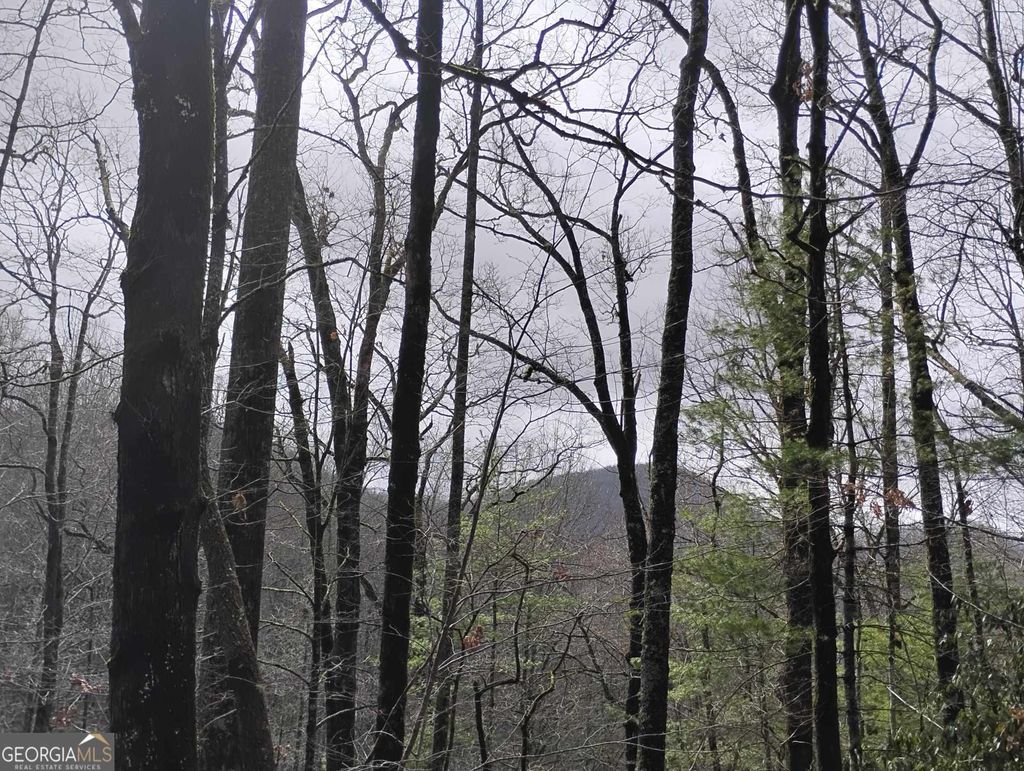 Photo of 289 Cobblewood Trail, Sky Valley, GA 30537 (MLS # 10806546)