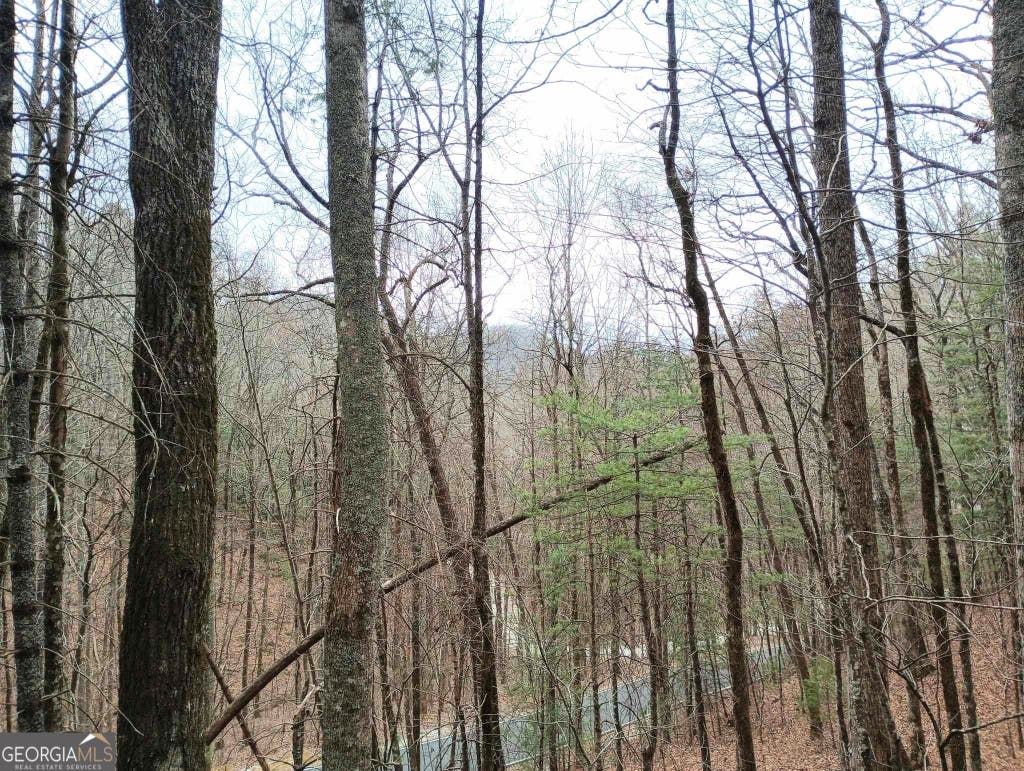 Photo of 289 Cobblewood Trail, Sky Valley, GA 30537 (MLS # 10806546)